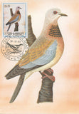 First Day Cover Postcard Bird Curucuco Stigmatopelia Senegalensis Thome 1983