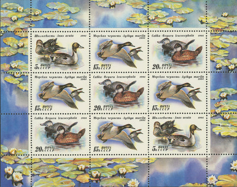 Russia Duck Stamp USSR SC 6009-11a Souvenir Sheet 1991 Bird MNH