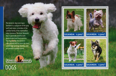 Dogs Stamp Dog Terrier Chihuahua Papillon Domestic Animal Souvenir Sheet of 4 Mi