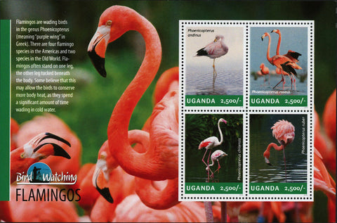 Flamingo Stamp Phoenicopteridae Chilean American Souvenir Sheet of 4 Mint NH