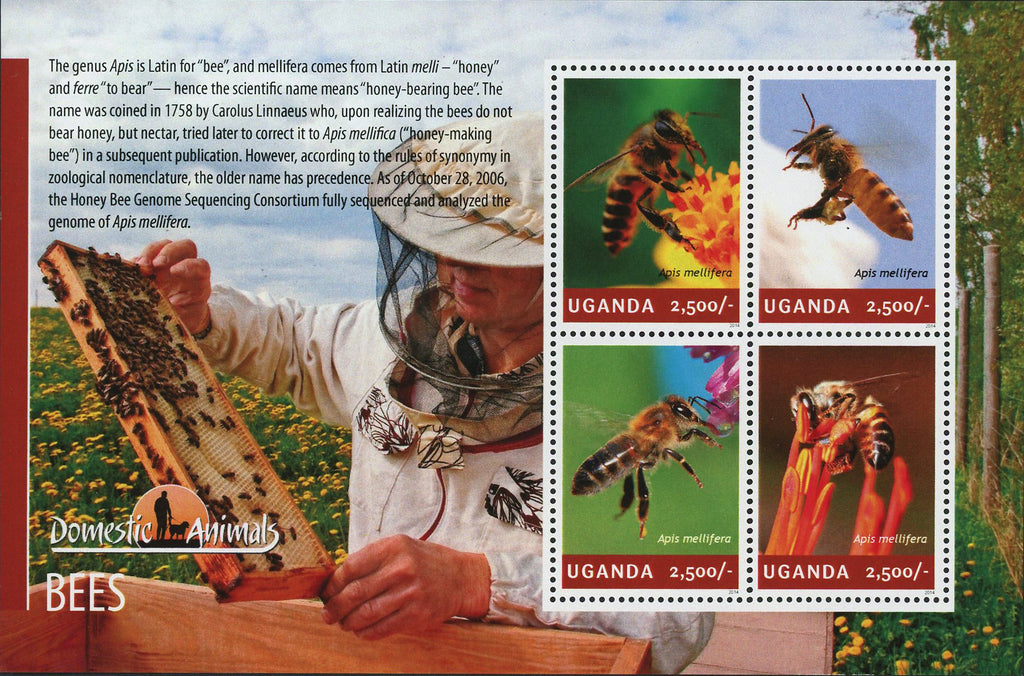Bee Stamp Apis Mellifera Honey Bee Souvenir Sheet of 4 Mint NH – Meditative  Philately