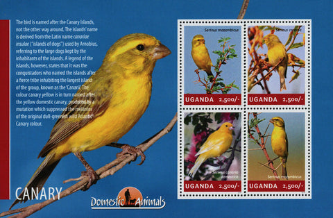 Bird Stamp Canary Serinus Mozambicus Souvenir Sheet of 4 Mint NH