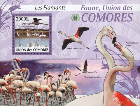 Birds Stamp Flamingo Flamingos Souvenir Sheet Mint NH