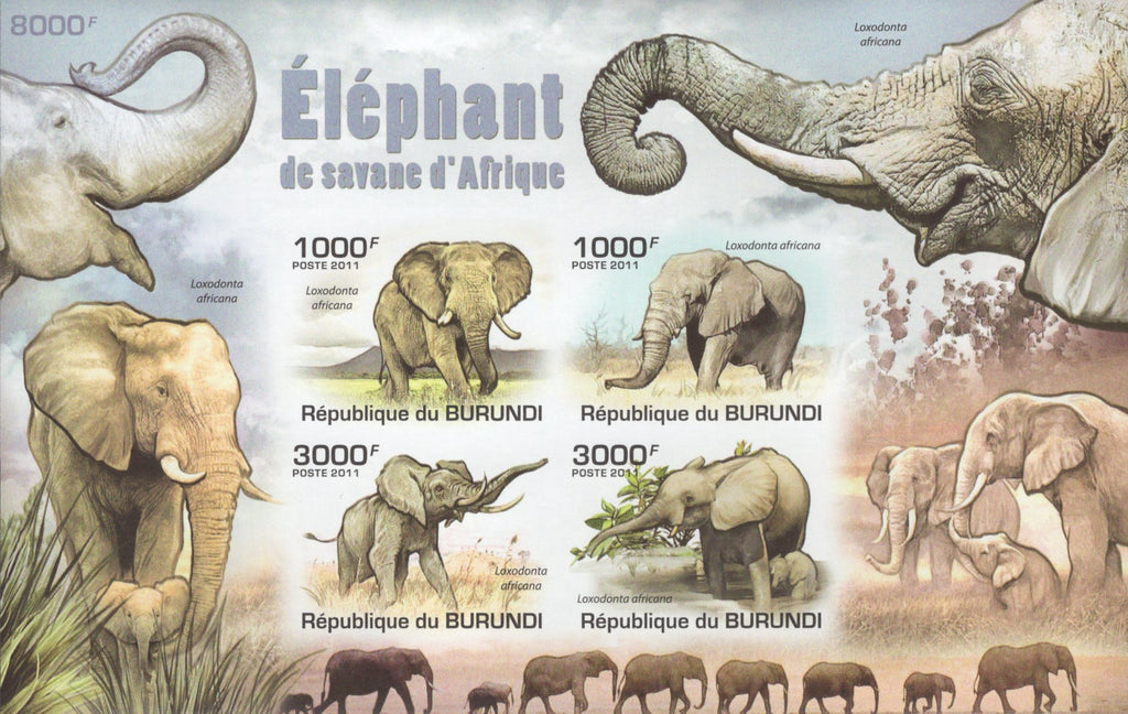 Elephants Wildlife African Bush Savanna Animals Loxodanta Imperforated S