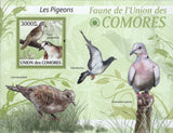 Fauna Pigeons Birds Souvenir Sheet Mint NH