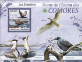 Stern Birds Souvenir Sheet Mint NH