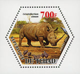 African Fauna Rhino Mini Souvenir Sheet Mint NH