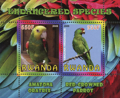 Endangered Species Bird Parrot Souvenir Sheet of 2 Stamps Mint NH
