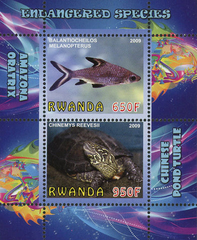Endangered Species Fish Turtle Ocean Life Souvenir Sheet of 2 Stamps Mint NH