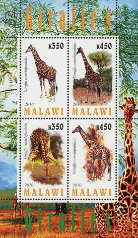 Malawi Giraffe Tree Wild Animal Fauna Souvenir Sheet of 4 Stamps Mint NH