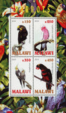 Malawi Parrot Bird Jungle Tropical Souvenir Sheet of 4 Stamps Mint NH