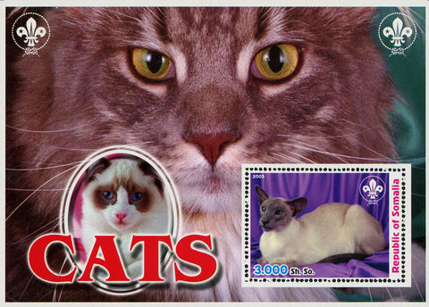 Cat Pet Domestic Animal Souvenir Sheet Mint NH