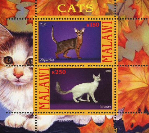 Malawi Cat Pet Domestic Animal Javanese Souvenir Sheet of 2 Stamps Mint NH