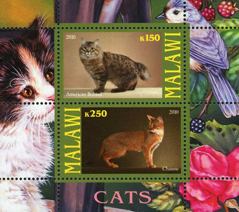 Malawi Cat Pet Domestic Animal American Bobtail Souvenir Sheet of 2 Stamps Mint