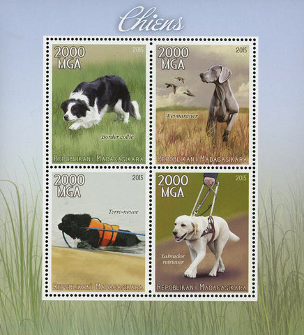 Domestic Animal Border Collie Dog Pet Souvenir Sheet of 4 Stamps Mint NH