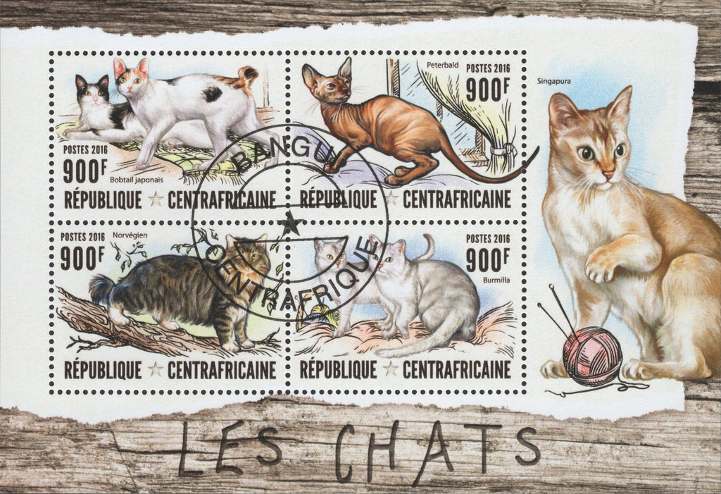 Central African Republic Cats Domestica Animals Souvenir Sheet